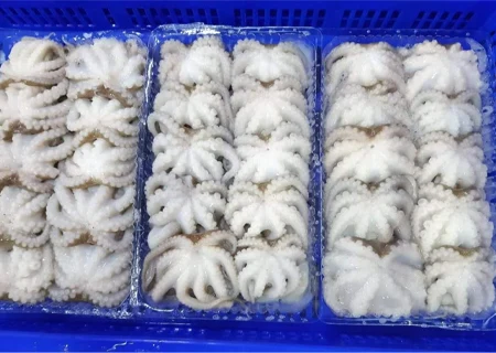 Baby Octopus Frozen Block