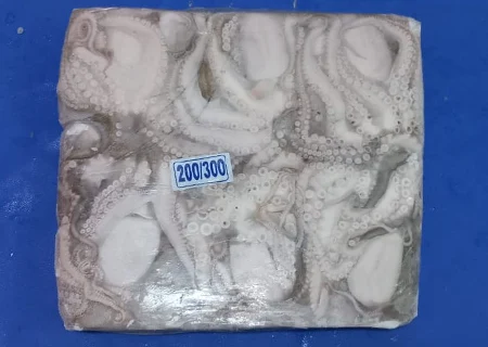 Octopus Frozen Block
