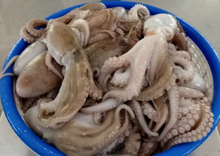 Octopus Double Skin