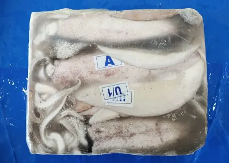 Thondi squid Frozen Block